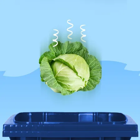 Banner Food Waste 1x1
