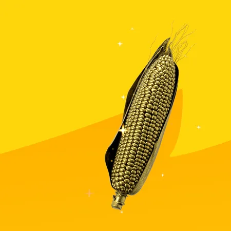 Golden corn
