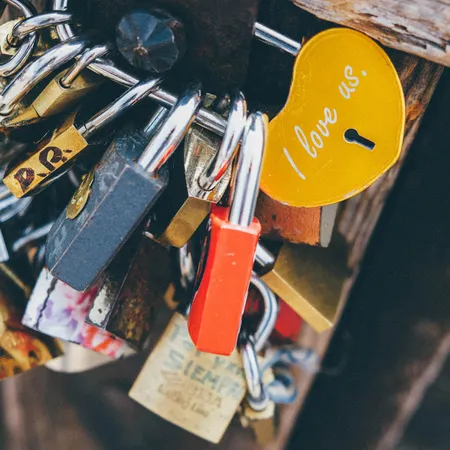 multiple padlocks on a fence