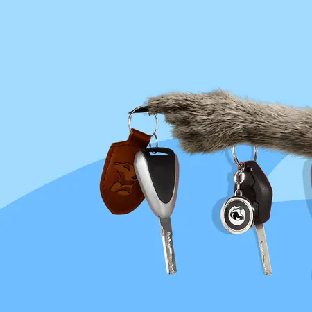 meerkat hand holding keys
